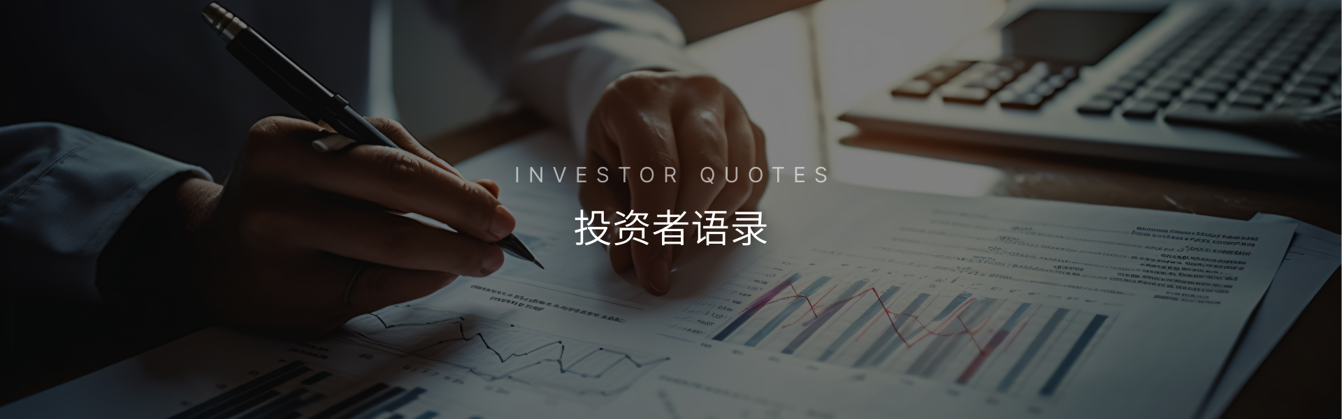 投资者语录