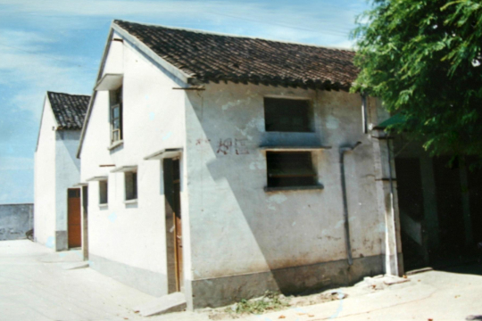 1981年