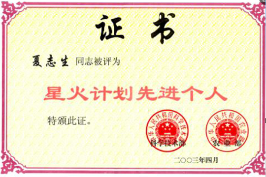 2003年